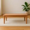 Breanna Coffee Table Edit (1)