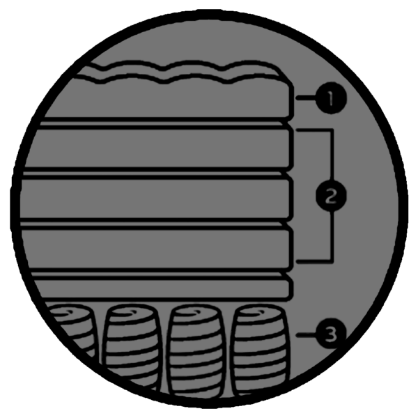 Spring System
