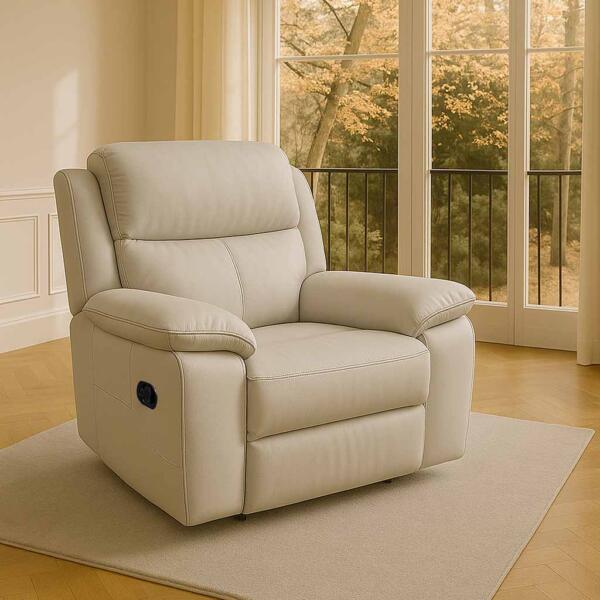 Ibis Recliner