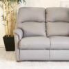 Temora 2 Seater (1)