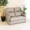 Temora 2 Seater (3)