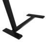 Ssd Black Legs 2 700