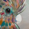 Orange Cuckatoo Closeup 3