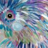 Rainbow Cuckatoo Wide