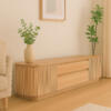 Apsen Tv Unit