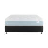 Sm - 1278 - Pinnacle Plush - Front