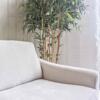 Leona Sofa Bed (1)