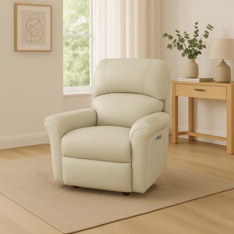 Willow Large Electric Reclienr