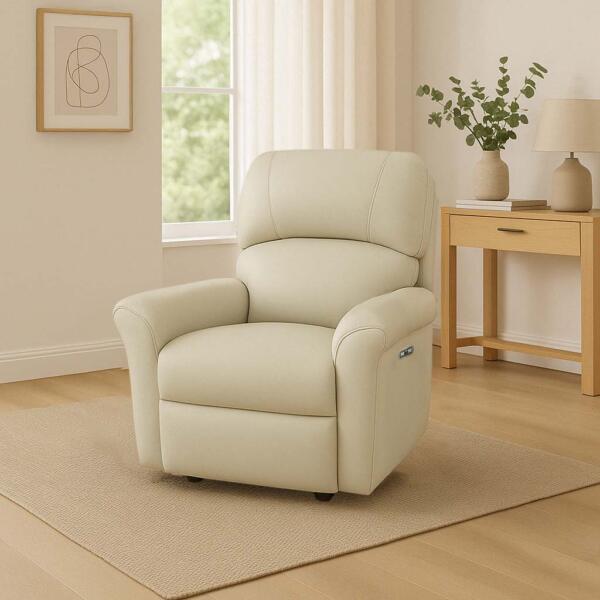 Willow Large Electric Reclienr