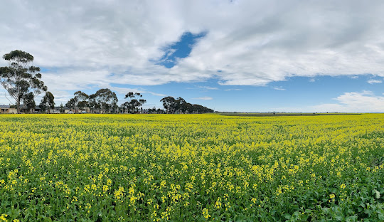 Home furniture delivered to Wyndham Vale
