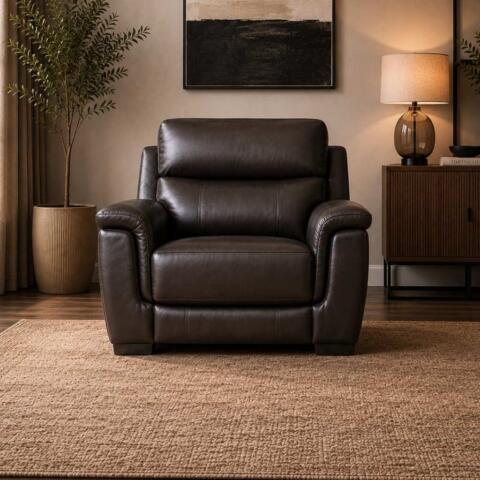 Toronto Electric Recliner