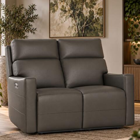 Ryan 2.5 Seater - Leather